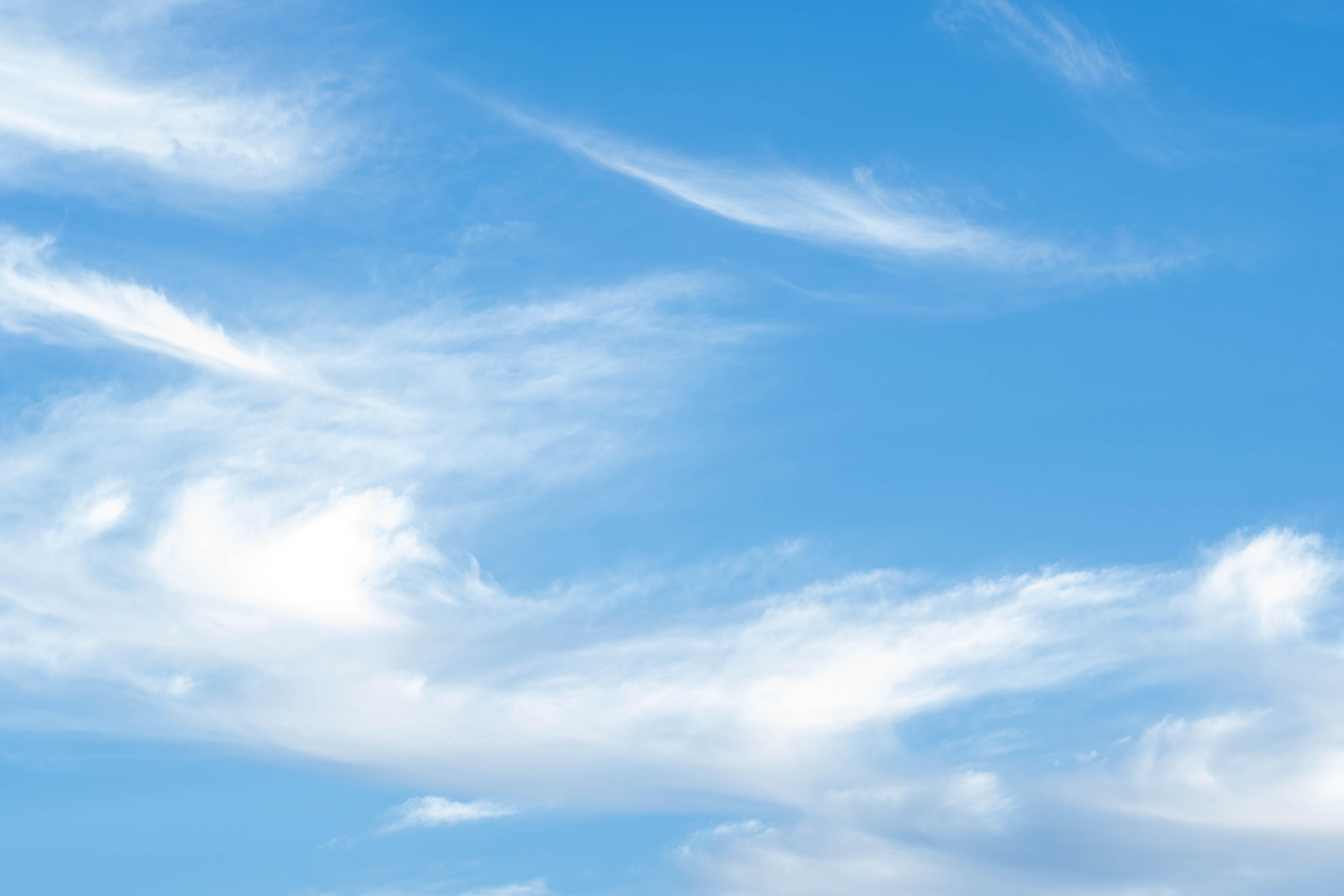 image-20240925115431286