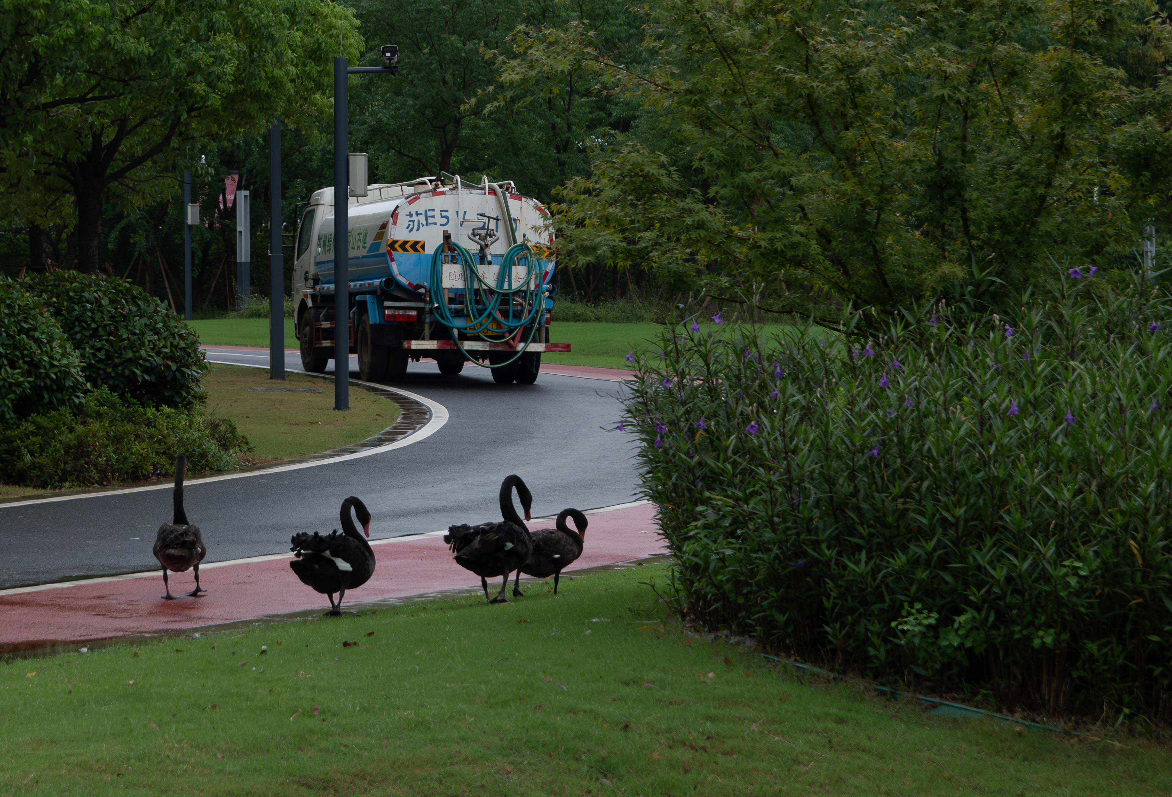 image-20240925115454793