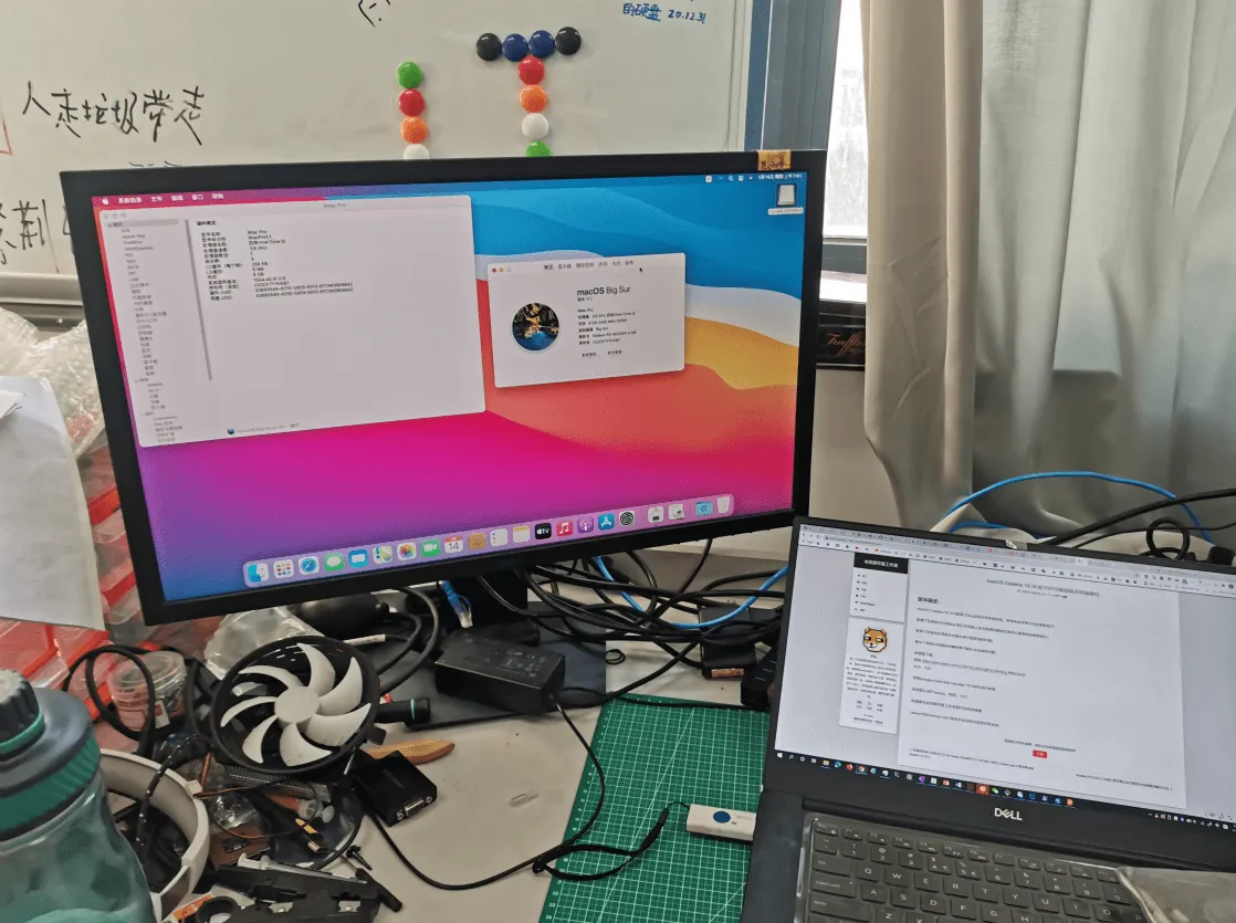 image-20210202234245419