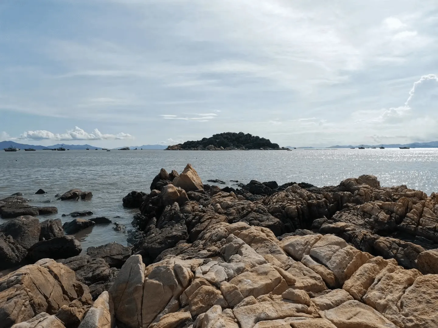 image-20221106003030924