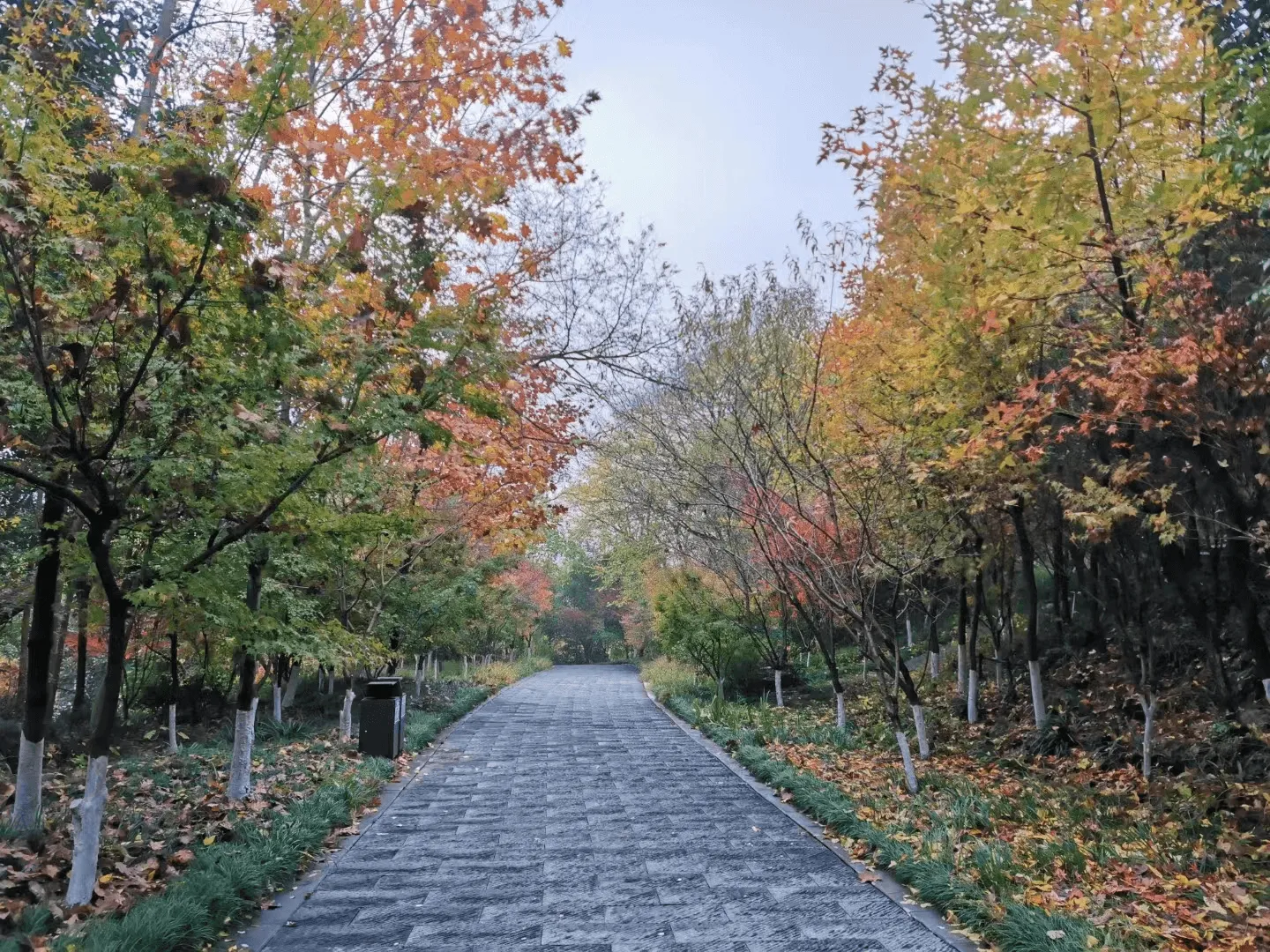 image-20230113102537422