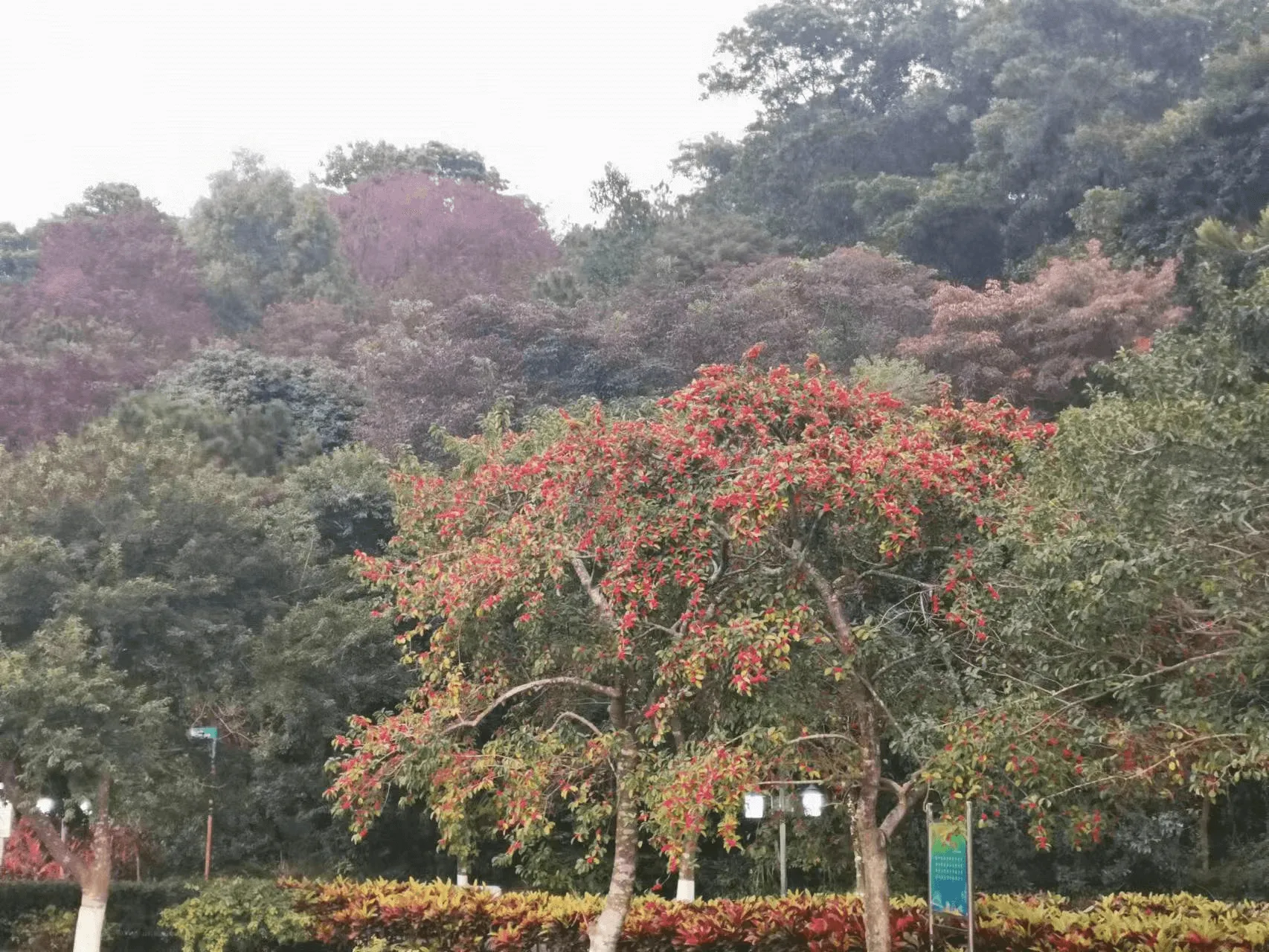 image-20230113102717530