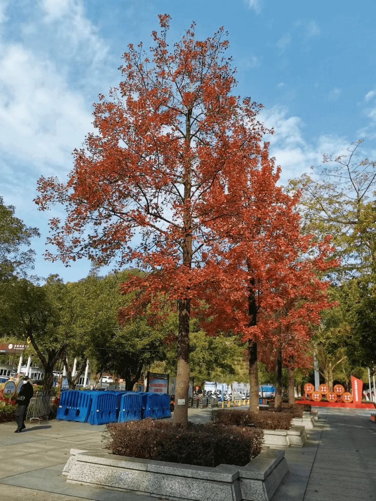 image-20230113102829955