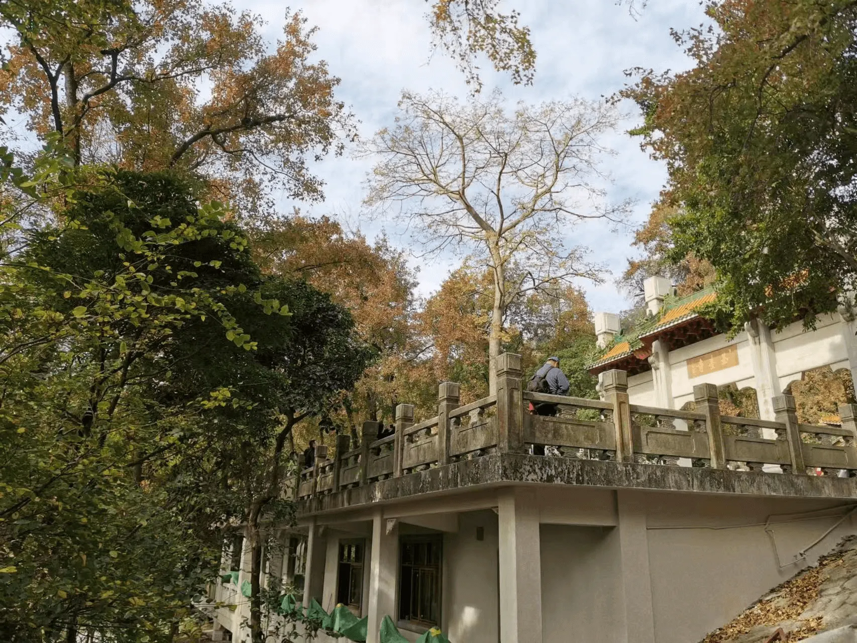 image-20230113102849422