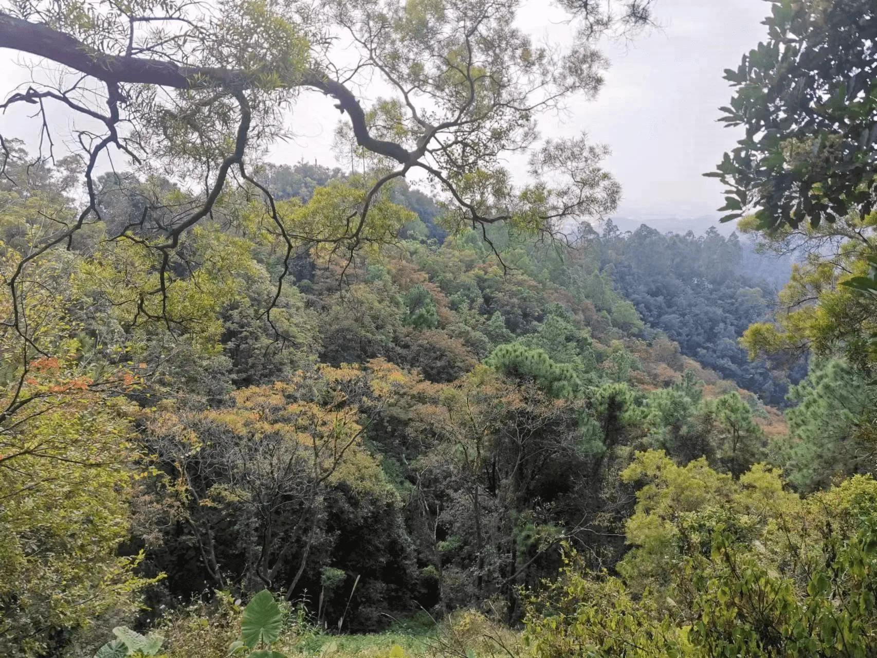 image-20230113102901291