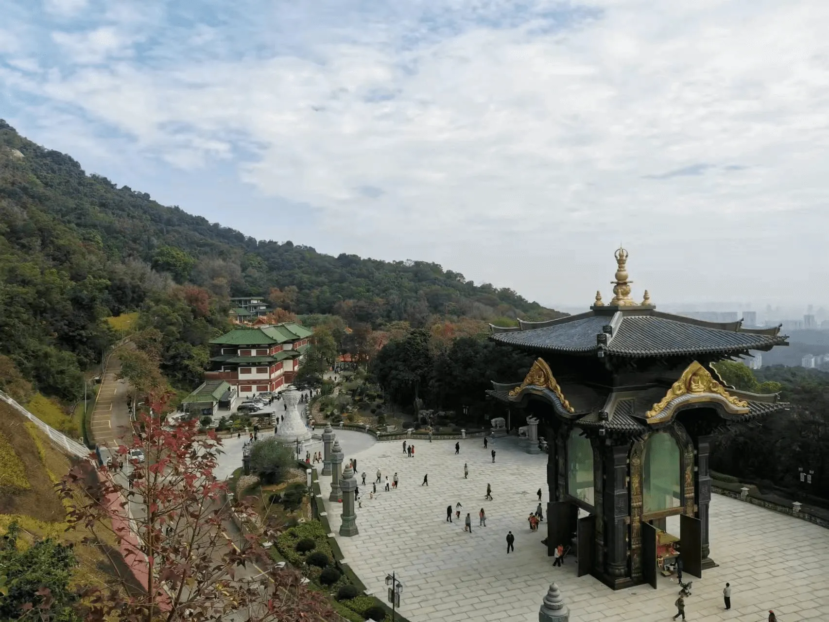 image-20230113102913122