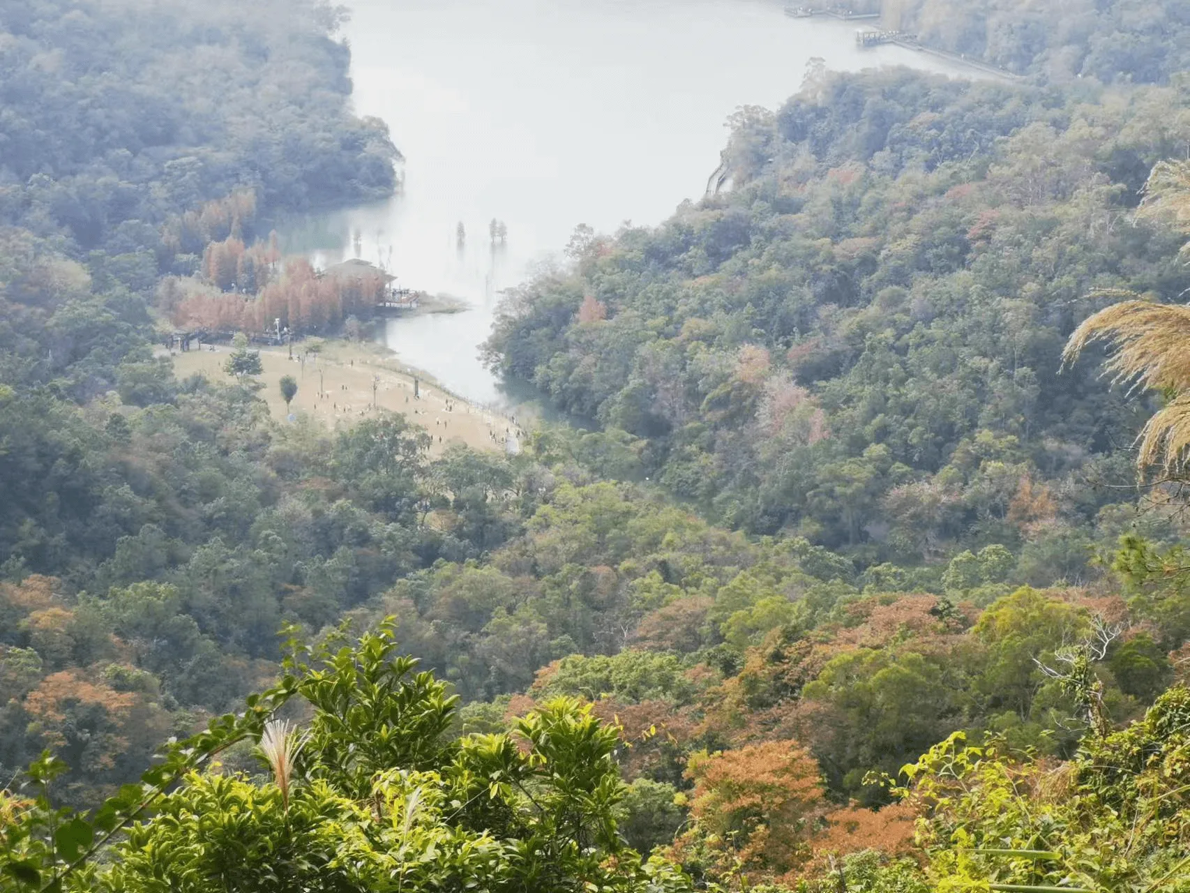 image-20230113102922040