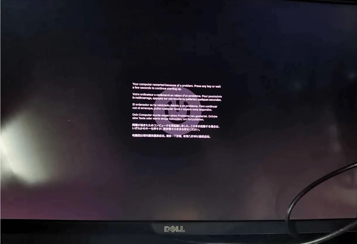 image-20240319115556029