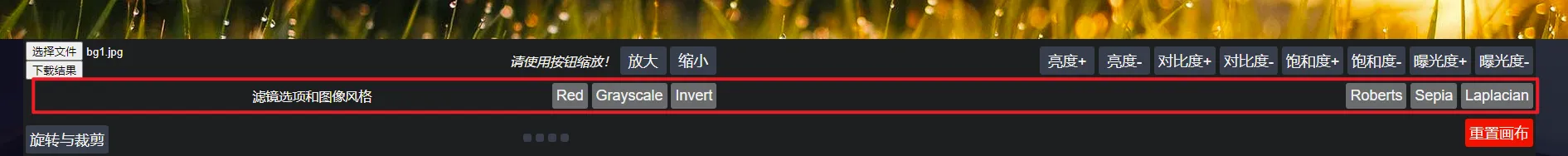 image-20211216174201619