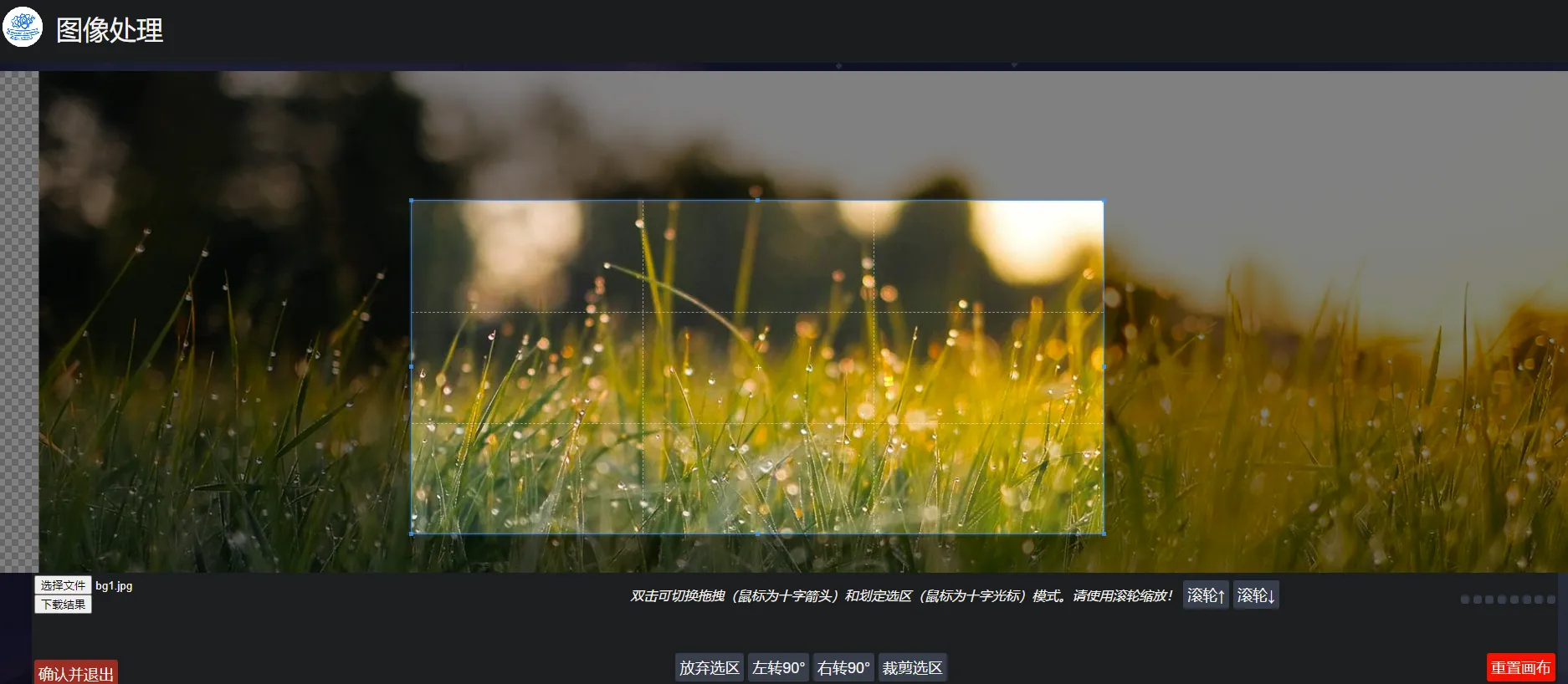 image-20211216175039794