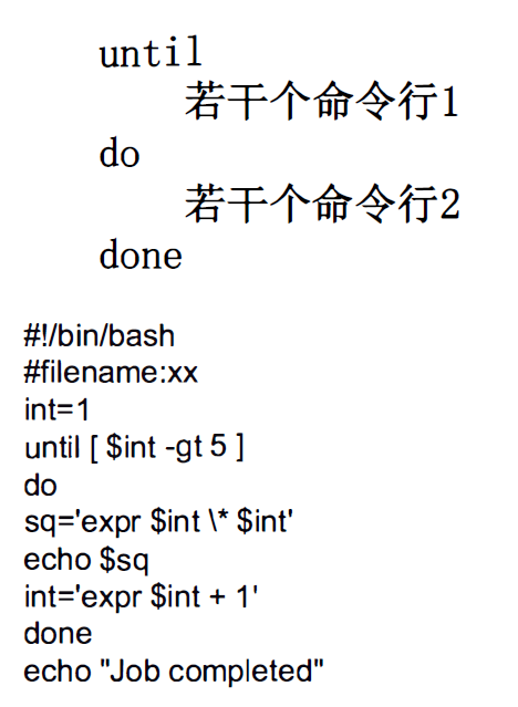 image-20200822152009011